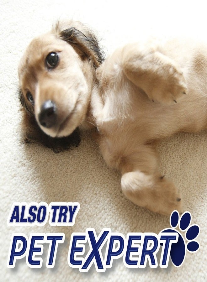 ريسولف ريزولف - 0-19200-00619-4 0-1920088365 رغوة تنظيف السجاد عالية الحركة، تُستخدم للتنظيف، وتعطير السجاد، وتنعيمه، وإزالة البقع، 132 أونصة، 1.38 رطل (عبوة من 6 قطع) - Image 5